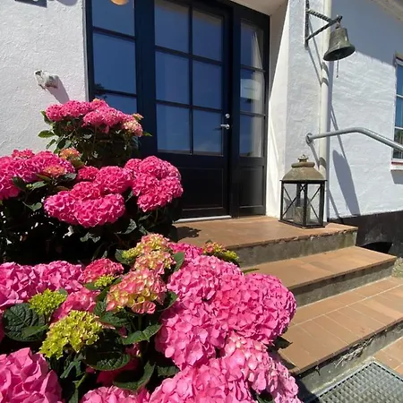 Bed and breakfast Ronhave