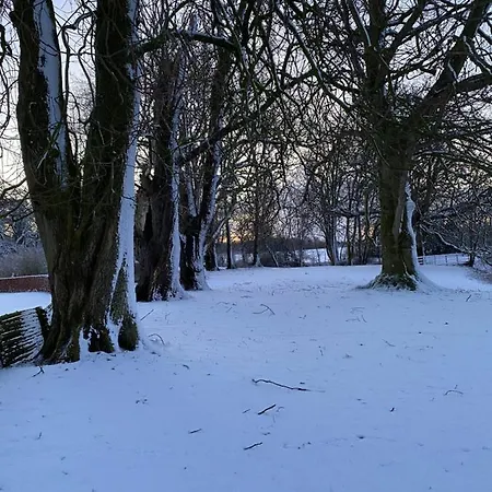 Rønhave Bed & Breakfast Sønderborg