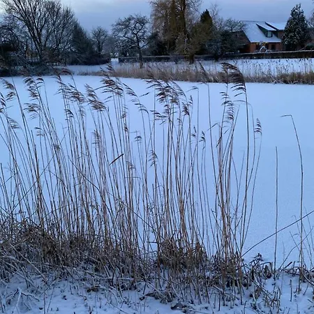 Rønhave