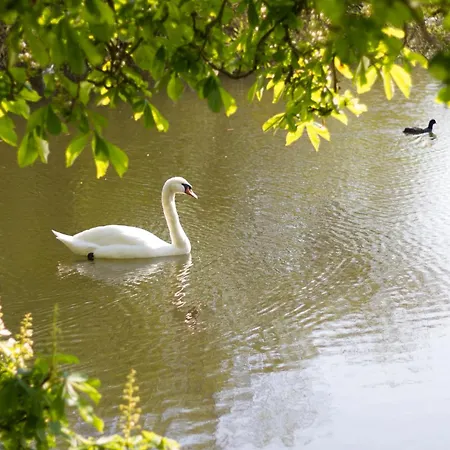 Ronhave Отель типа 