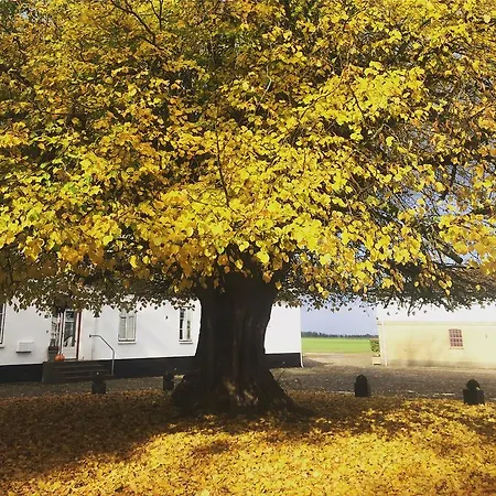 Ronhave 3* Сённерборг