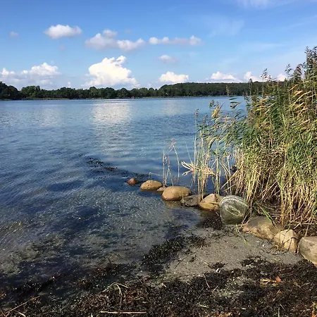 Rønhave 3*