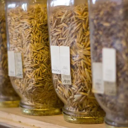 Ronhave Frühstückspension 3*