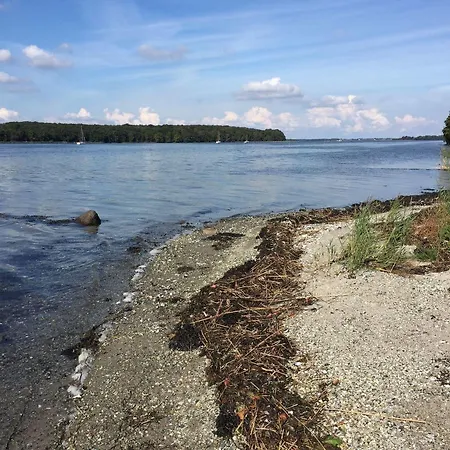 Rønhave 2*