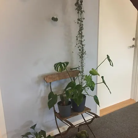 Ronhave Frühstückspension