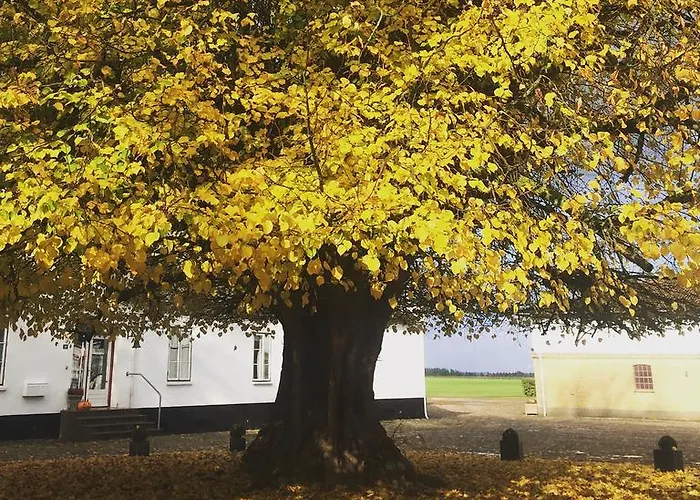 Ronhave 3* Sønderborg